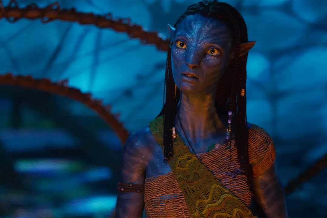 Avatar Fuego y Cenizas - gallery 9