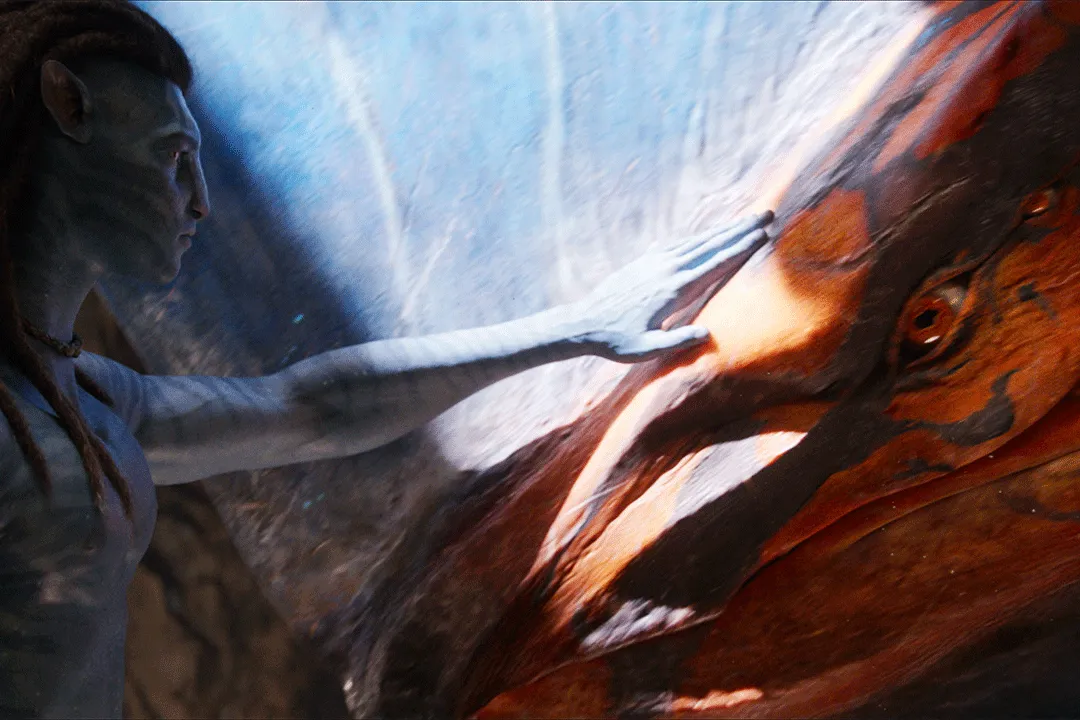 Avatar Fuego y Cenizas - gallery 9