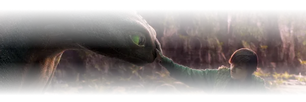 Como entrenar a tu dragon | background footer mobile