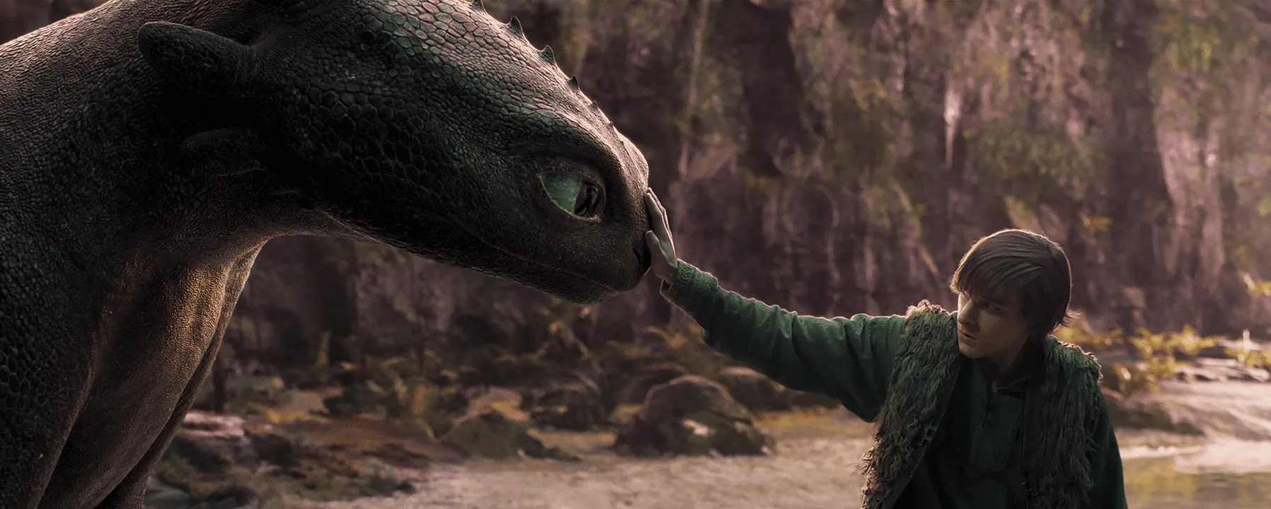Como entrenar a tu dragon - gallery 1